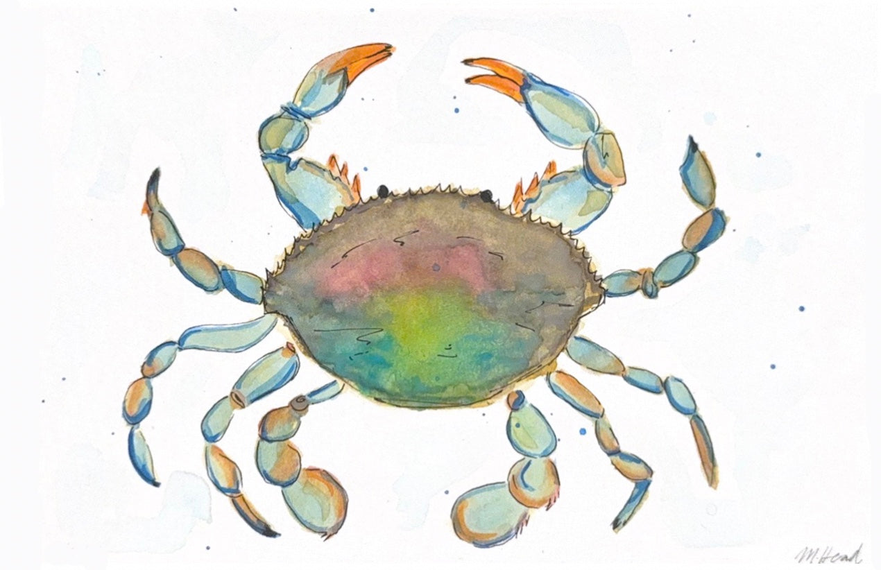 Coastal - Blue Crab