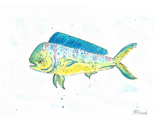 Coastal - Mahi Mahi