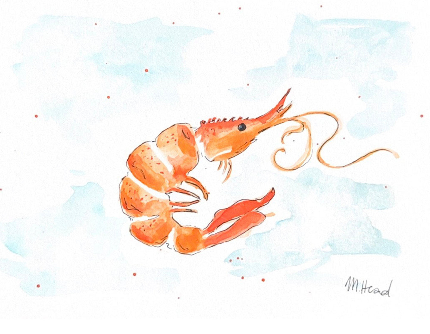 Coastal - Shrimp